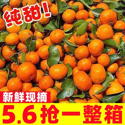 广西正宗砂糖橘5斤整箱包邮新鲜水果当季砂糖桔蜜橘桔子时令水果