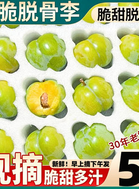正宗四川青脆脱骨李子5斤精品果应当季孕妇时令水果巫山空心脆李