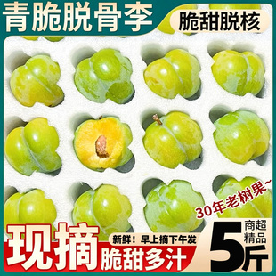 正宗四川青脆脱骨李子5斤精品果应当季孕妇时令水果巫山空心脆李