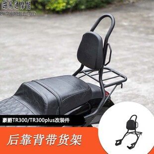 适用豪爵TR300改装带靠背后货架高强度后货架弓形后靠背Plus款用