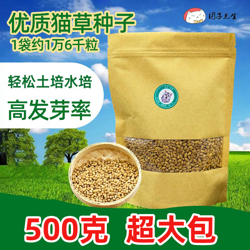 猫草种子猫薄荷幼猫零食猫草籽猫草片水培猫草营养土盆栽猫咪用品