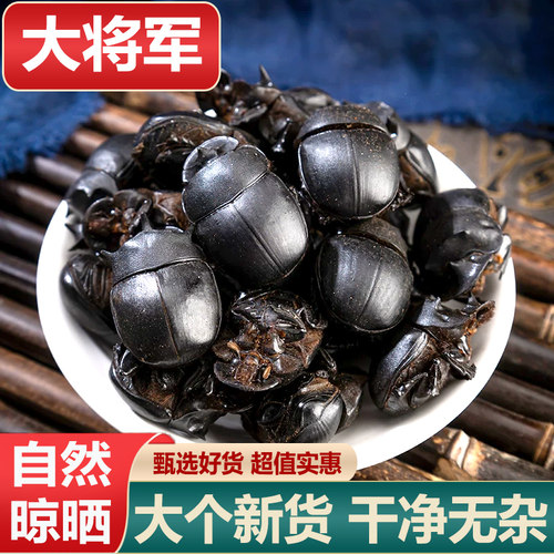 中药材屎壳郎新货正品大将军