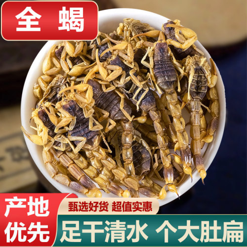 正品全蝎天然完整干燥无盐全虫