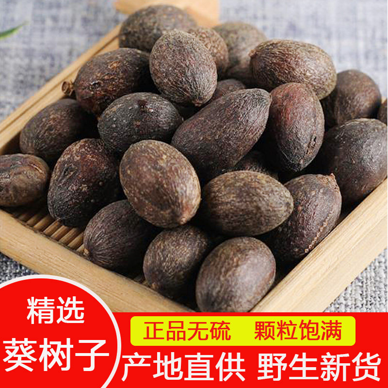 葵树子中药材葵扇子新货散装正品葵树果籽 蒲葵子500克包邮