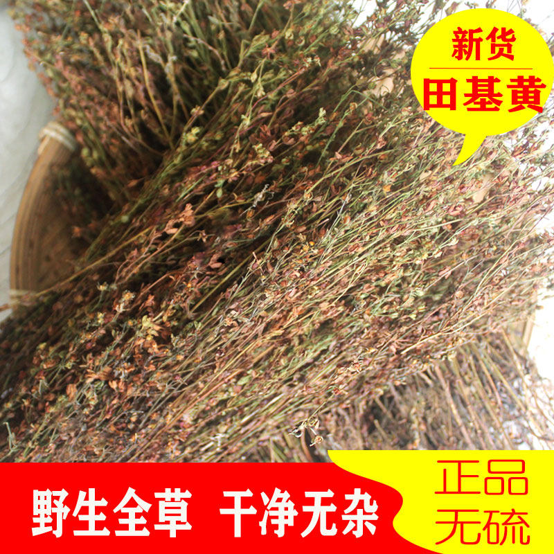 野生田基黄500g克草药材地耳草寸金草香草新鲜干货田基王包邮
