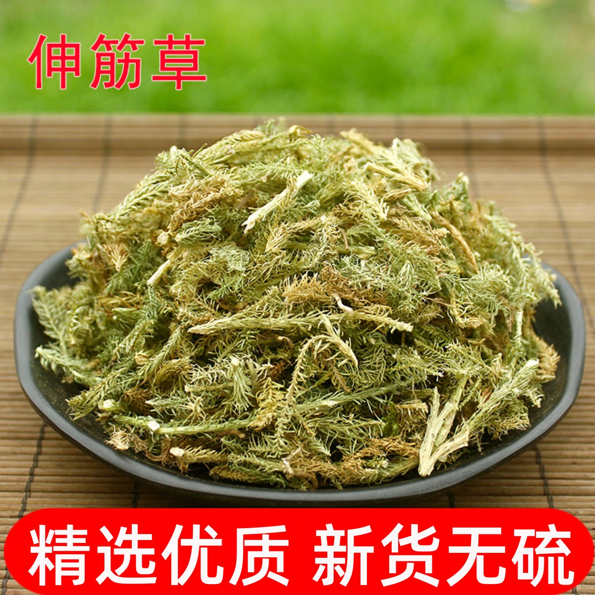 中药材伸筋草500克狮子草舒筋草牛尾菜大顺筋藤优质新品包邮