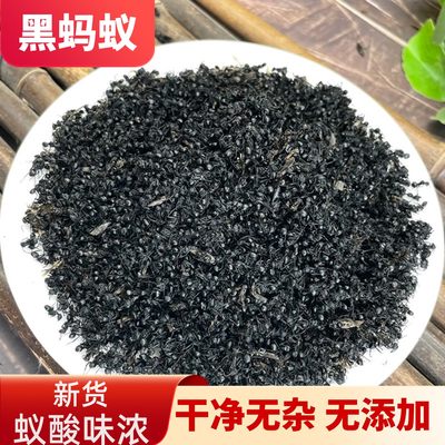 黑蚂蚁中药材泡酒料横县野生拟黑多刺蚁正宗蚂蚁干500g黑蚂蚁粉