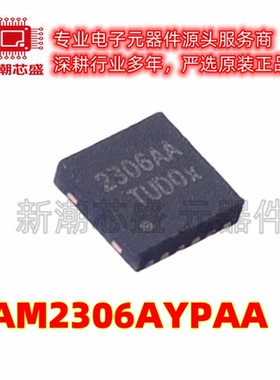 PAM2306AYPAA DC-DC电源芯片 封装WDFN-12全新原装美台