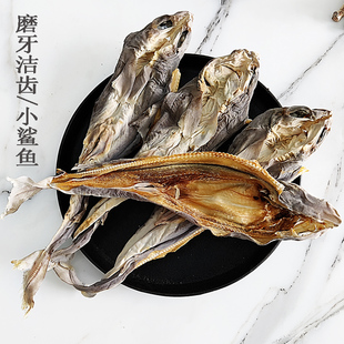 小鲨鱼干补钙非耐咬小中大犬狗金毛零食 宠物狗零食磨牙抖音乐同款
