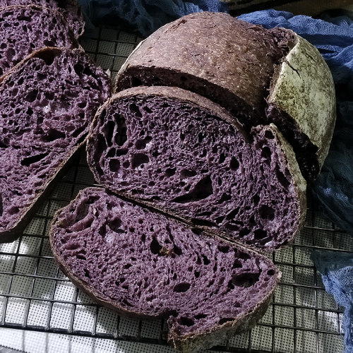 黑米酸种欧包天然酵母菌紫米粉主食面包黑米乡村面包sourdough