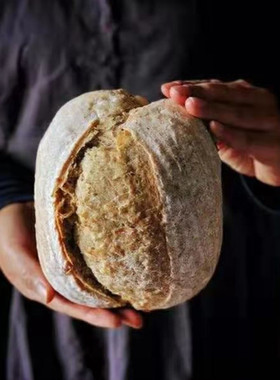 纯全麦欧包准妈妈孕妇无糖精未加油餐包饱腹轻脂原味粗粮素面包