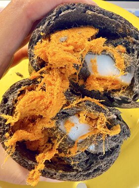 绵软满口爆料~全麦五黑松松欧包