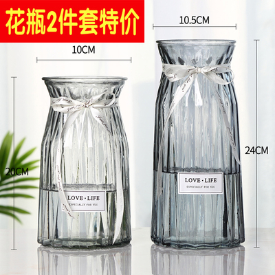 两只 玻璃花瓶小摆件欧式透明富贵竹水培绿萝客厅干花大插花瓶 淘宝天猫内部优惠券 每天千款优惠券 秒杀及免单 惠买君