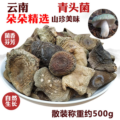 青头菌菇干蘑菇干菌云南土特产