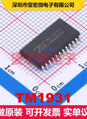 TM1931 SOP-24 LED驱动器 电源管理 集成芯片IC