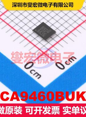 PCA9460BUKZ 专业电源管理 电源管理 集成芯片IC