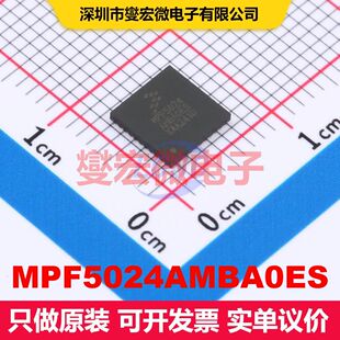 MPF5024AMBA0ES HVQFN-40(6x6) 专业电源管理 电源管理 集成芯