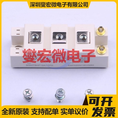 SGM75HF12A1TFD   IGBT晶体管/模块