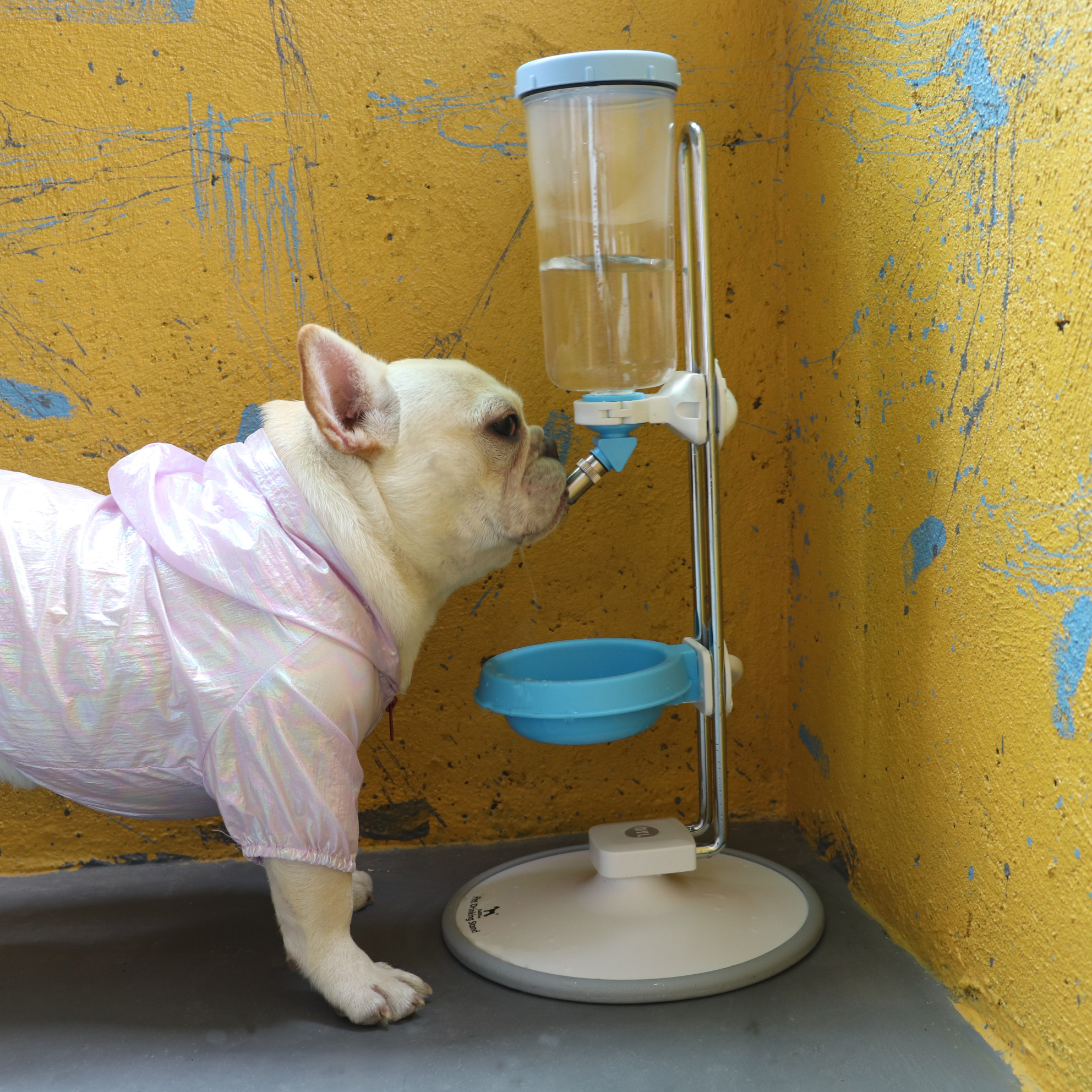 宠物饮水器 台湾DaDiDoo大帝都 立式喝水器架子 狗狗猫水壶杯通用