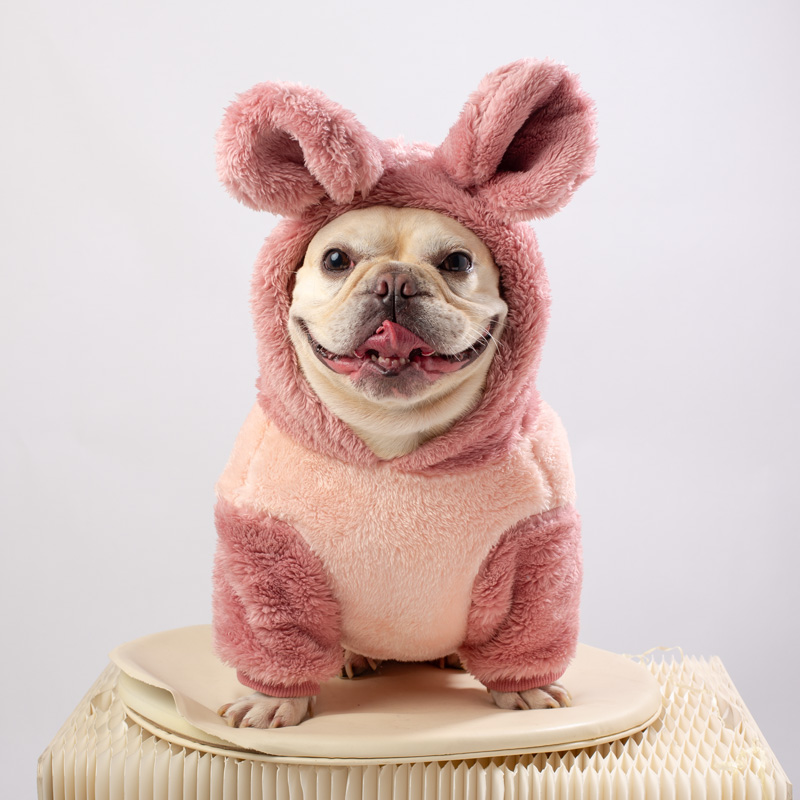 可爱撞色加厚双面绒狗狗衣服保暖