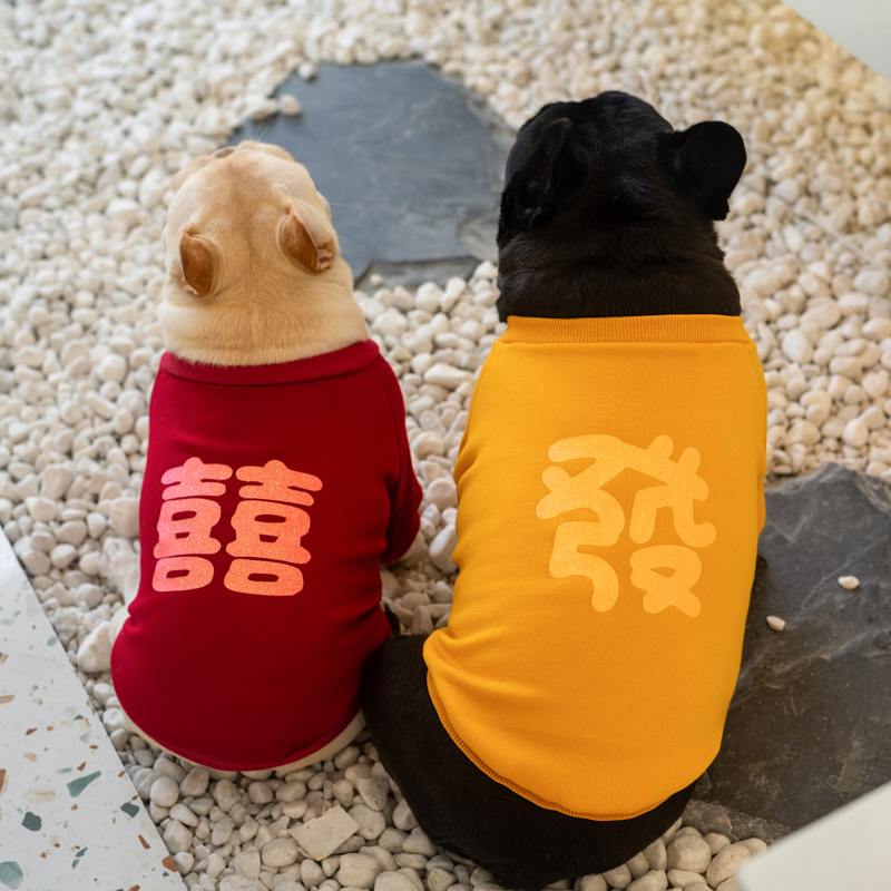 狗狗法斗加绒卫衣巴哥夜光服装