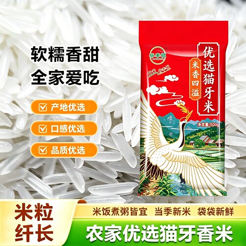 猫牙米长粒香大米新米煲仔饭食材