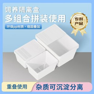 小乌龟苗饲养盒宠物巴西龟小草龟养殖隔离盒专用生态鱼缸带孔龟盆