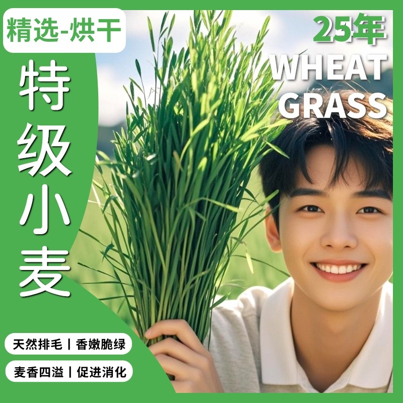 2025年烘干小麦草新草干草兔兔子龙猫荷兰猪牧草饲料粮食主粮1kg