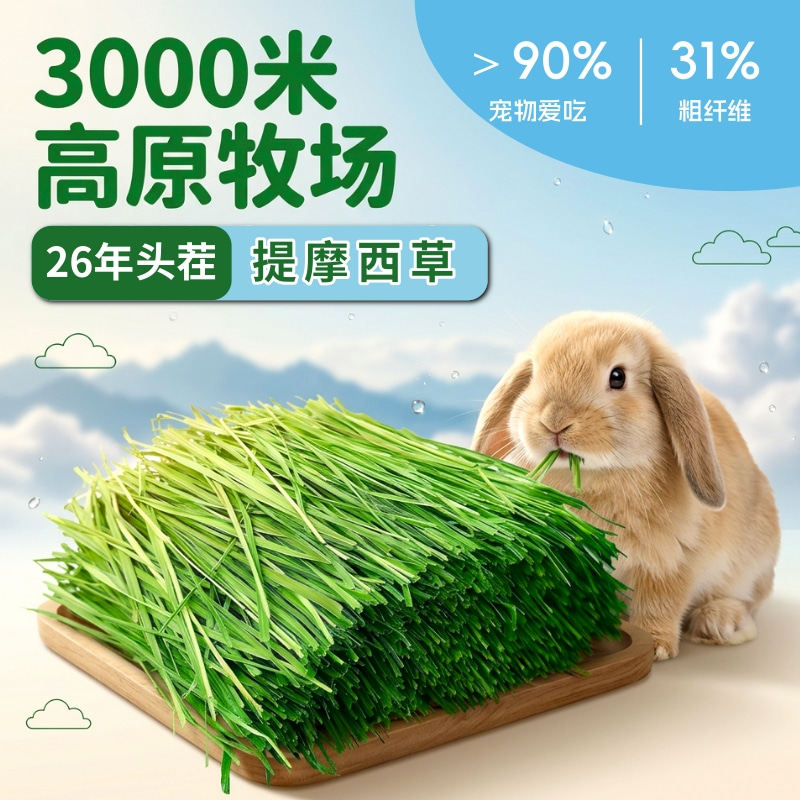 兔子龙猫头茬特级烘干提摩西草图片