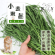 2024年头茬小麦嫩苗烘干牧草兔兔天然化毛膏兔子龙猫豚鼠净重500g