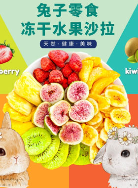 水果沙拉兔子龙猫豚鼠磨牙零食