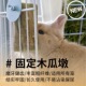 可固定磨牙木瓜墩兔子龙猫荷兰猪磨牙棒零食烘干木瓜树墩树玩具