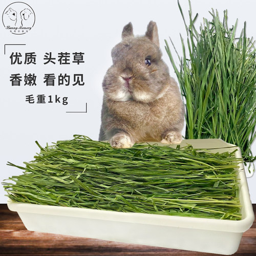 兔子龙猫头茬特级烘干提摩西草