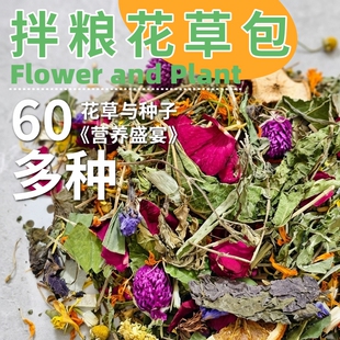 兔子拌粮60多种保健混合花草包种子龙猫豚鼠仓鼠有利肠道营养全面