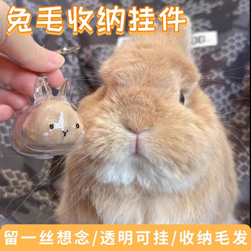 纪念兔子透明毛发收纳盒兔兔毛球胶囊挂件装饰可爱防尘盒收集玩具