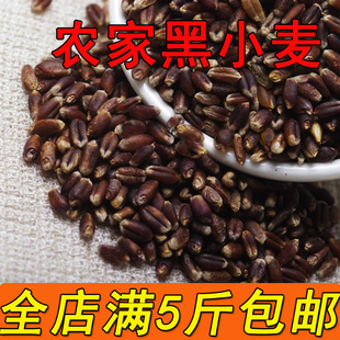 黑小麦米 黑麦仁熬粥五谷杂粮500g 5斤包邮可做发芽麦子紫麦