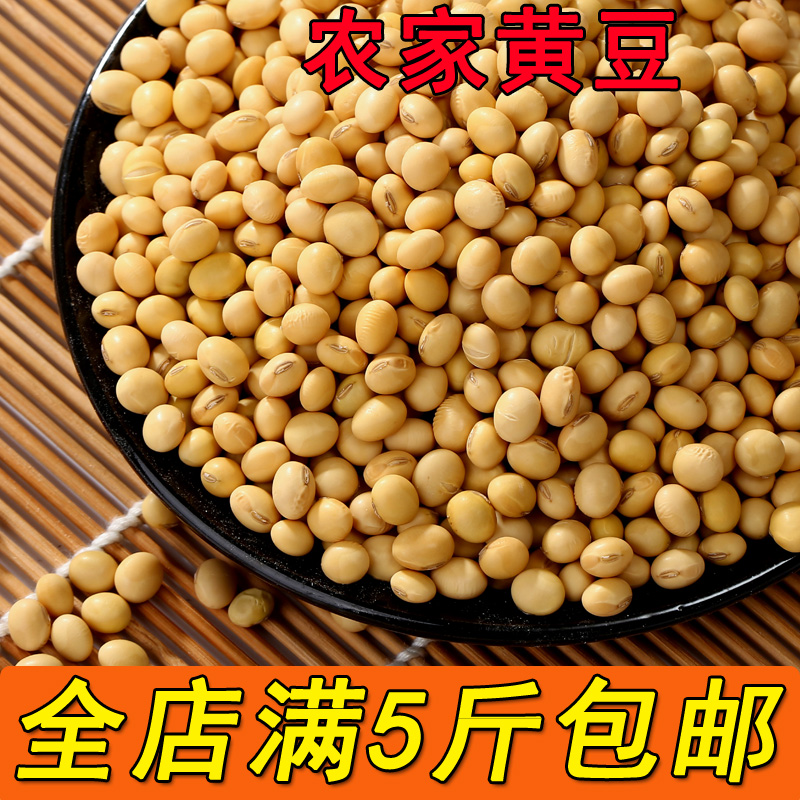 农家黄豆打豆浆非转基因大豆