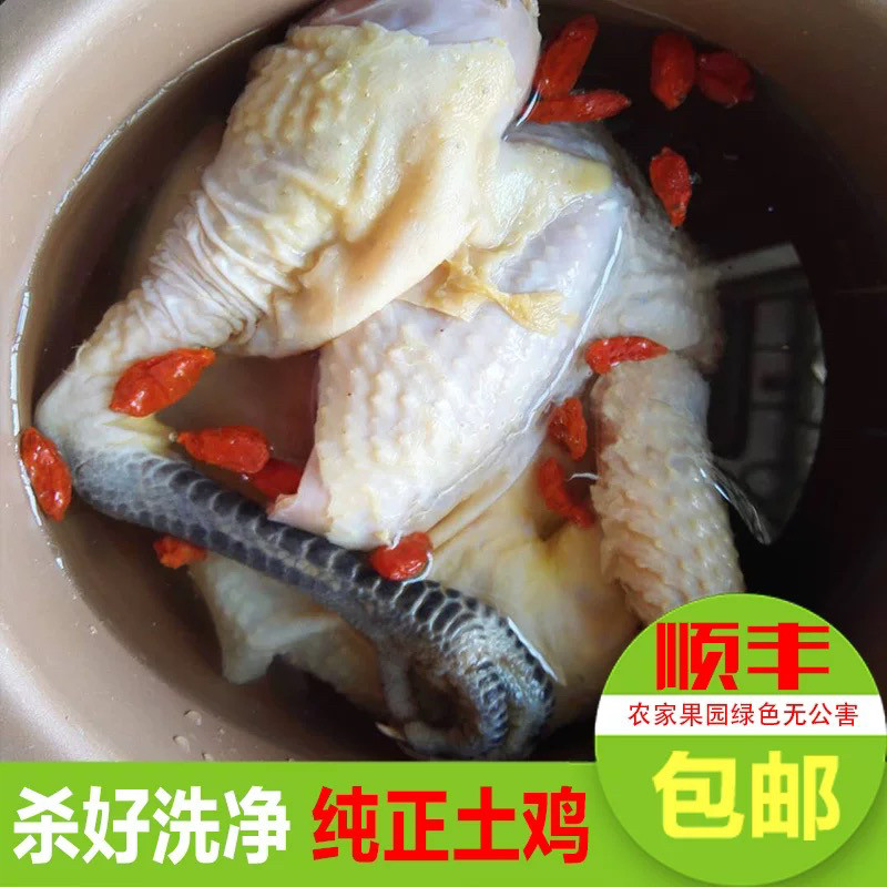 农家散养月子鸡土鸡走地鸡老母鸡整鸡/整鸡制品