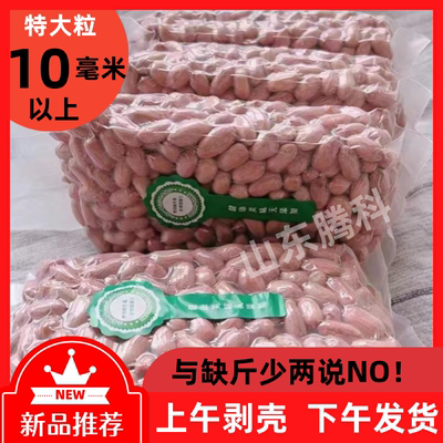 2025年新花生米生的山东新货大颗粒长粒不带壳花生仁豆新鲜榨油