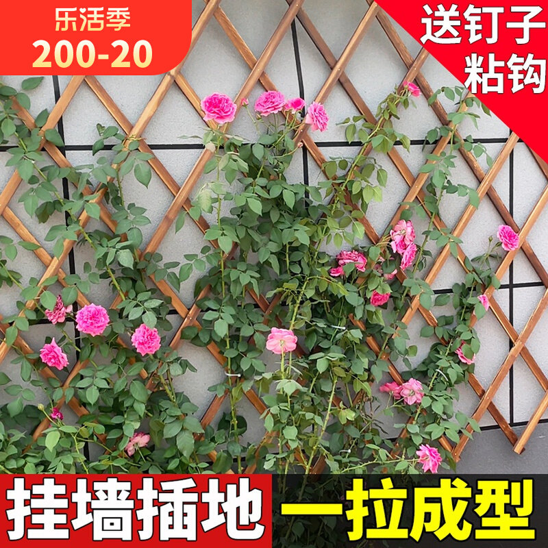 植物爬藤支架置物架墙上月季花架子壁挂室外阳台挂架悬挂花盆网格