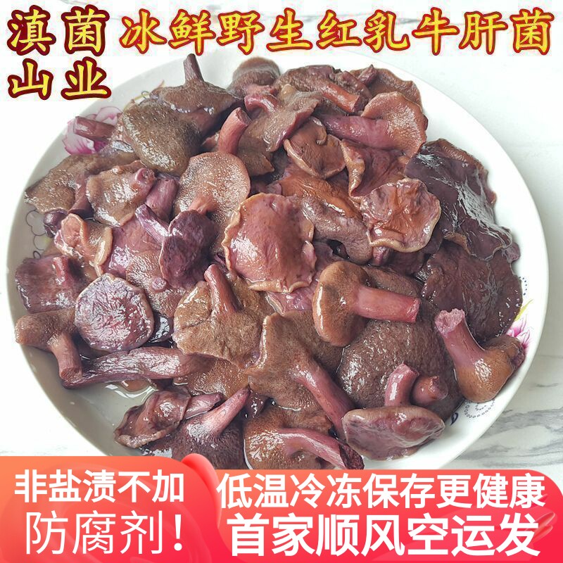 牛肝菌野生食用菌菇 冰鲜非干货口感滑嫩1kg美味红乳云南山珍食材