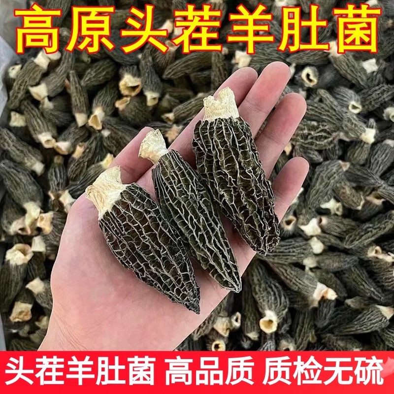 羊肚菌干货头茬林下仿野生剪柄精品 云南菌子山珍美食土特产香菇,粮油调味/速食/干货/烘焙,羊肚菌,淘宝优惠券,粉丝福利购,淘宝优惠卷