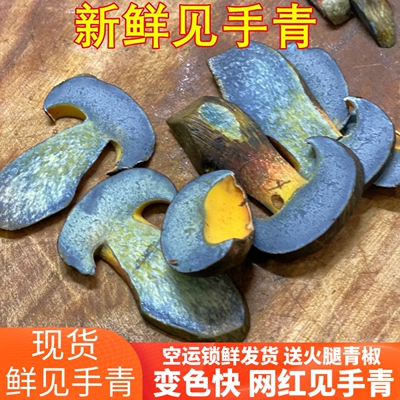 新鲜见手青 云南山珍红葱牛肝菌野生菌云南菌子味道鲜美空运发货