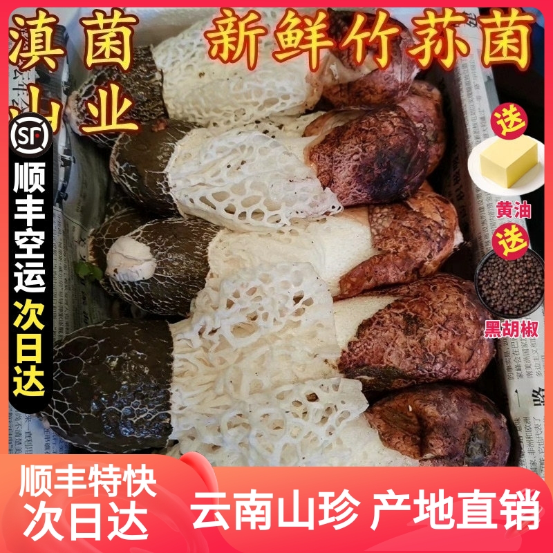 新鲜竹荪菌云南特产野生织金短裙红托鲜竹笙蘑菇500g空运包邮正品