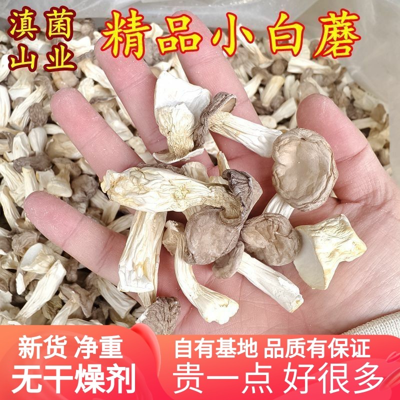 小白蘑干货 味道鲜美大分量云南山珍美食农产品香菇蘑菇云南菌子