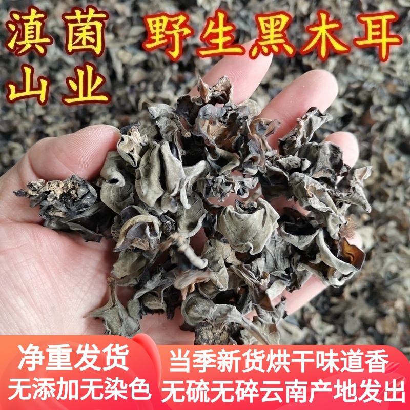 野生黑木耳干货 云南菌子山珍无硫100克装新货香味好正品保障包邮