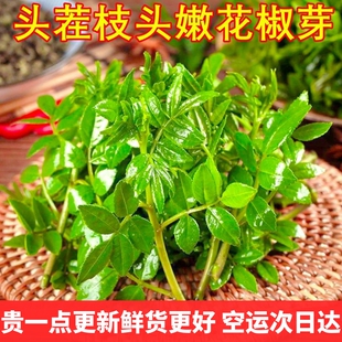 云南野生新鲜花椒芽叶花椒尖空运次日达发货 野菜味道鲜山珍食材