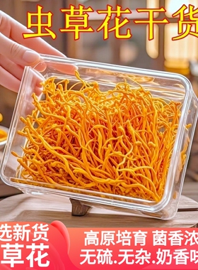 虫草花干货 煲汤材料虫草菇金虫草北虫草100克非新鲜包邮正品保障