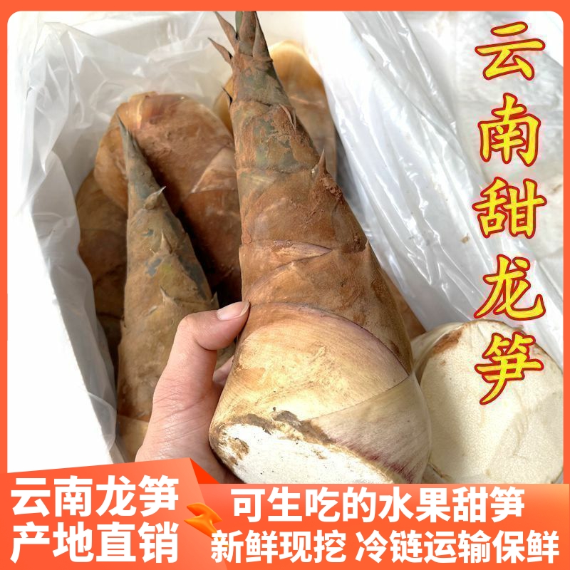 甜笋龙笋新鲜云南新鲜蔬菜 可生吃水果竹笋鲜嫩春笋现挖野菜