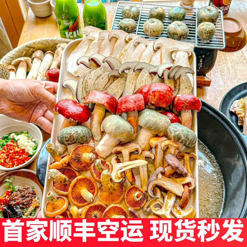 新鲜蘑菇组合云南野生菌杂菌松茸牛肝菌见手青红菇干巴菌鸡枞羊肚